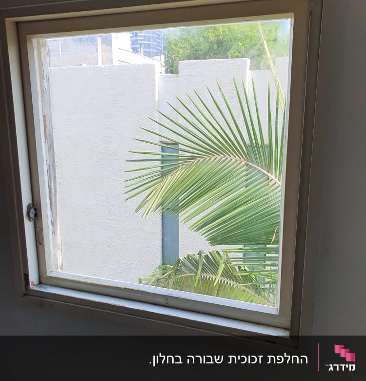 חלון זכוכית עם מסגרת עץ, עלים ירוקים בחוץ